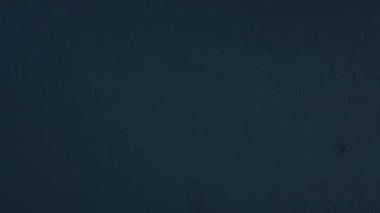 Buzdağları ve mühürler