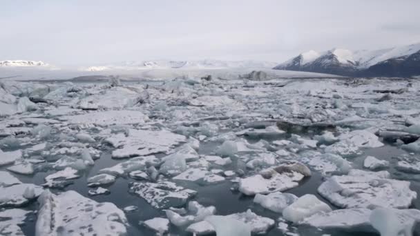 Παγόβουνο στη λιμνοθάλασσα — Αρχείο Βίντεο