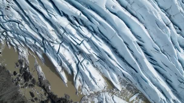 Glacier cicatrices — Video