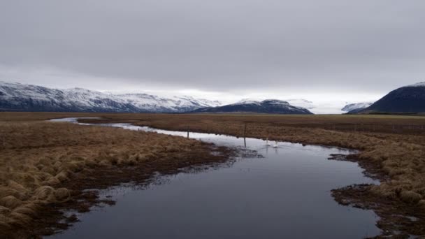 广角拍摄的一个惊人的冰冠景观与鹅游泳在小溪上 — 图库视频影像