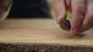 Midye ahşap kesme tahtası üzerinde el ile vurdu