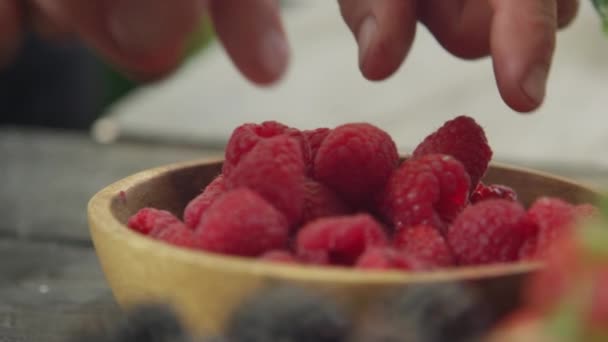 Ręce zbieranie malin z terakoty miski — Wideo stockowe