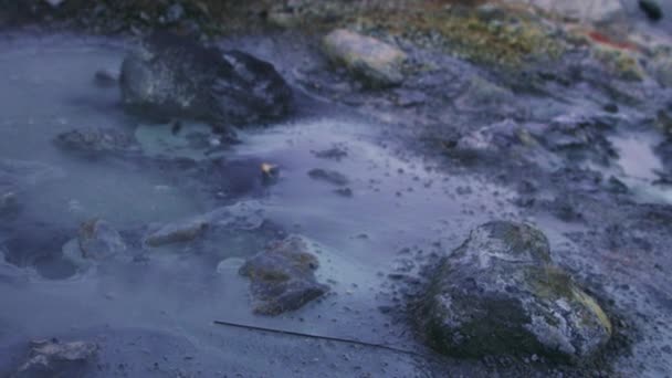 Close View Puddle Boiling Mud Iceland — Stock Video