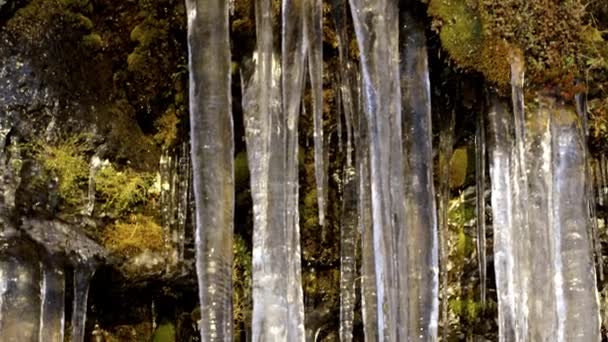 Ledových Stalagmitů Visící Skály Mechem — Stock video