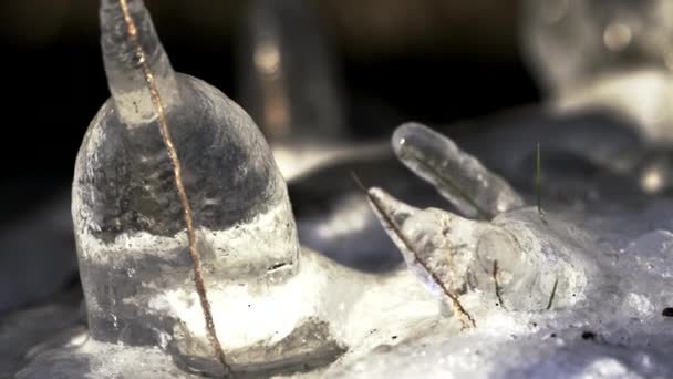 Formation Stalactites Sur Une Brindille Congelée Partir Gros Plan Sol — Video