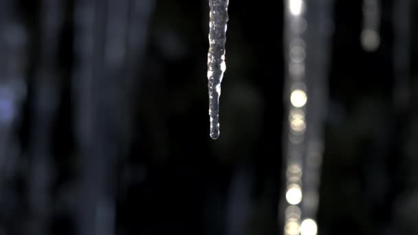 Närbild Stalagmiter Spetsiga Spets — Stockvideo