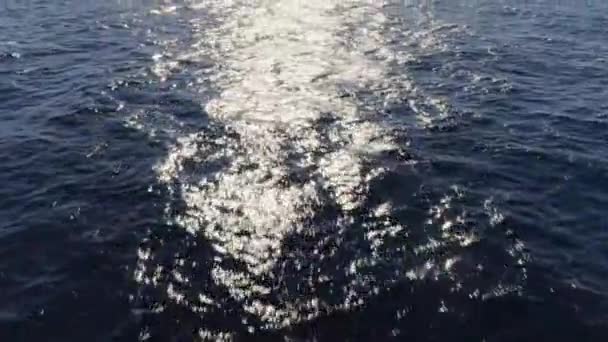 Fliegen Durch Schuss Auf Das Meer Dann Schwenkt Das Segelboot — Stockvideo