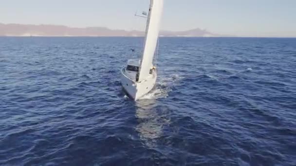 Primer Plano Tiro Velero Con Hombre Bordo Luego Tiro Sobre — Vídeo de stock