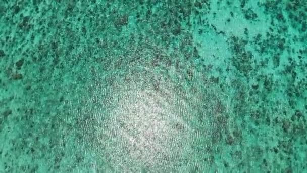 Drone che sorvola la bellissima spiaggia — Video Stock