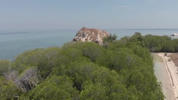 Mangrove shoreline and rock formation — Stock Video