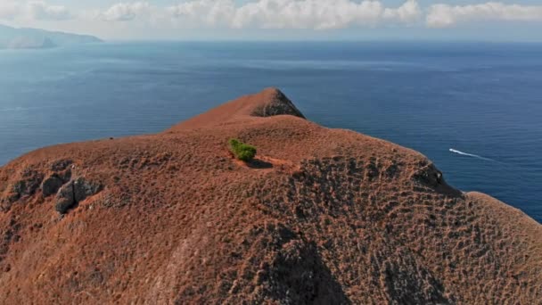 Bir yalnız adam ağaç üstünde belgili tanımlık tepe tepe — Stok video