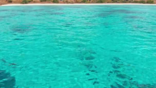 バリ島の透き通った海 — ストック動画