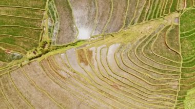 Karmaşık teraslar tasarım