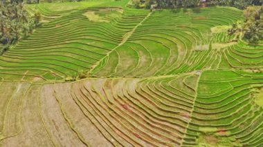 Dalgalanma tarihlerde arazi oluşumları