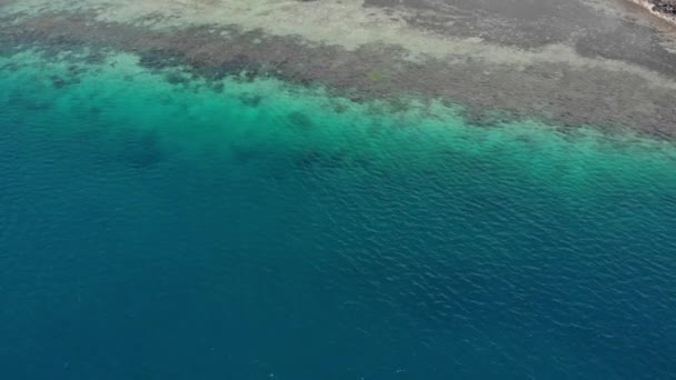 岸航空バリ島ビーチ — ストック動画