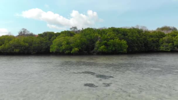 Brede luchtfoto van mangroves en strand op Bali — Stockvideo