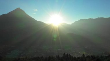 Avusturyalı altın gündoğumu