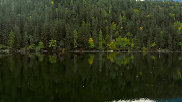 Reflections of pine trees in green lake in Austria — Stock Video