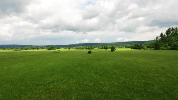 Luchtfoto van de groene vlaktes in Slovenië onthullen grasvelden en bomen — Stockvideo