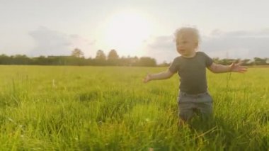 Neşeli Tombul Yürüyen Yavaş Çekimde Uzun Çimenlerde Yürüyor