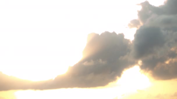 Silhouette d'un père qui jette son fils dans les airs au ralenti 