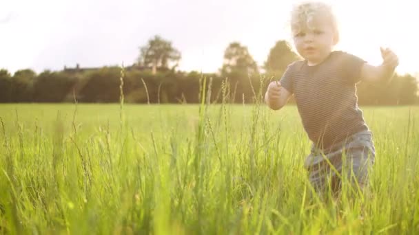 Tiro focado de um menino adorável brincando no campo — Vídeo de Stock