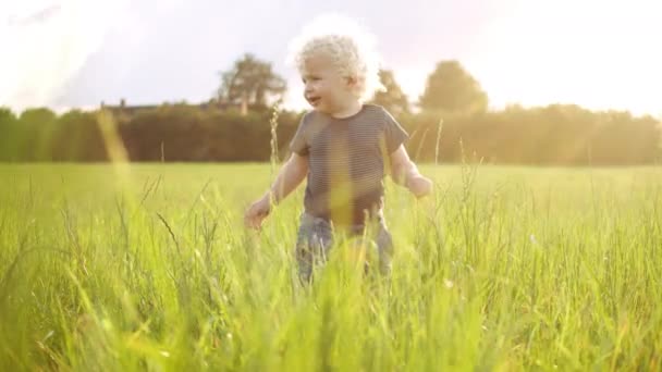 En knubbig liten pojke som lägger händerna på gräset runt honom, i långsamma rörelser. — Stockvideo