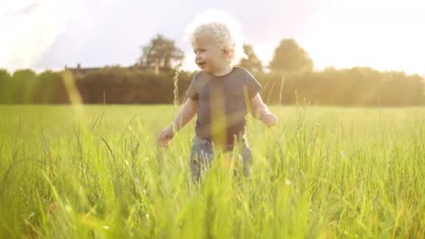 Chubby Baby Boy Gliding His Hands on the Grass Around Him, in Slow Motion — стокове відео