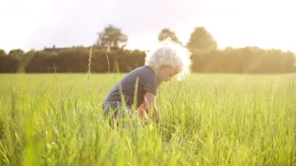 Tiro medio de un niño adorable jugando en medio del campo — Vídeos de Stock