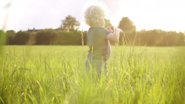 Weites Bild eines kleinen Jungen mit lockigem blondem Haar, der mit dem Gras spielt — Stockvideo