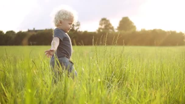 POV d'un bébé garçon innocent jouant avec l'herbe autour de lui avec un sourire — Video