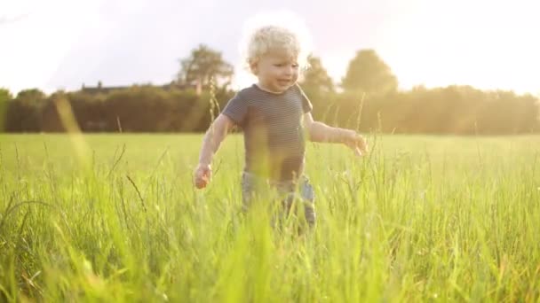 Flachbild eines abenteuerlustigen Kleinkindes, das mitten auf einem Feld steht — Stockvideo