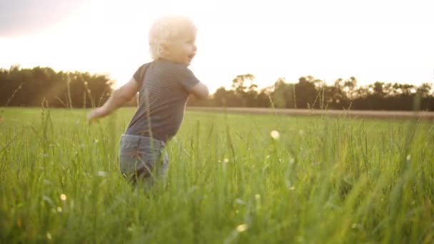 Low Angle Shot van een baby jongen met krullend haar zitten in het midden van het veld — Stockvideo