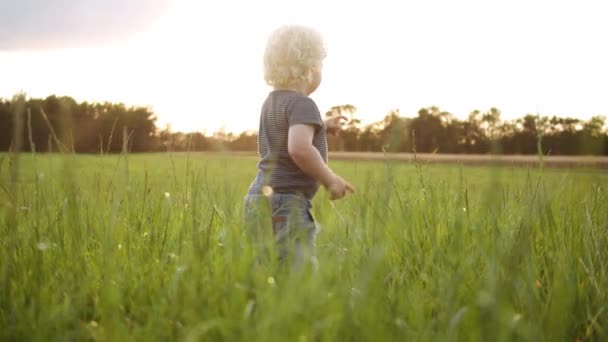 Entzückender kleiner Junge mit lockigem Haar, der in Zeitlupe zum Abschied winkt — Stockvideo