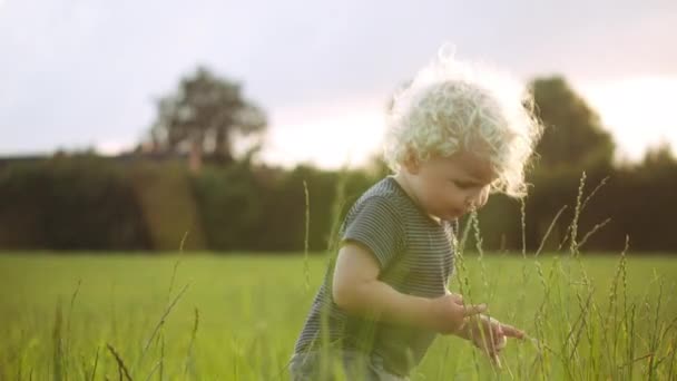 Steady Shot van een charmante baby jongen wijzend naar iets verborgen in het gras — Stockvideo