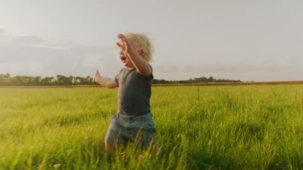 Vidám kisgyerek Futás és nevetés a mezőn keresztül, kilátással a naplementére — Stock videók
