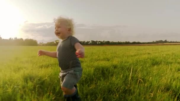 Krabba skott av en knubbig Toddler promenader och sedan titta tillbaka på kameran — Stockvideo