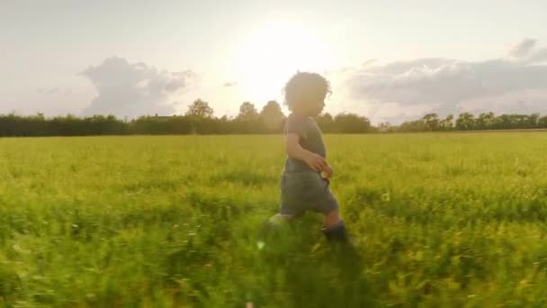 Радісний хлопчик - блондинка, що йде стежкою посеред поля пшениці — стокове відео
