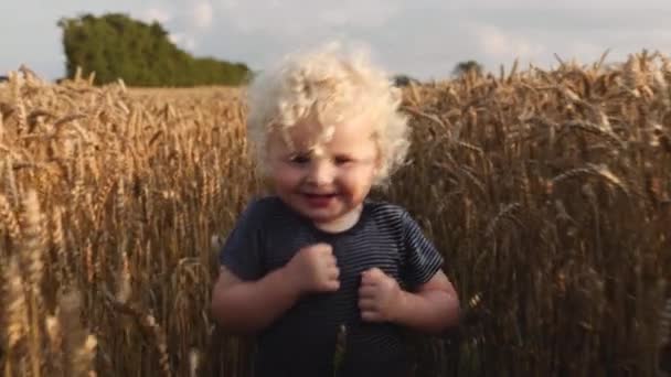 Kimenő kisbaba göndör szőke hajjal a búzamező közepén áll — Stock videók