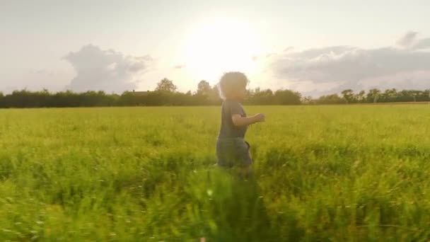 Een bezichtiging van een engelachtig gezicht Deense jongen wandelen over het groene veld — Stockvideo