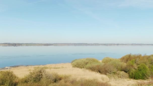 Drone volando sobre una colina Slops revelando cisnes nadando en un río — Vídeos de Stock