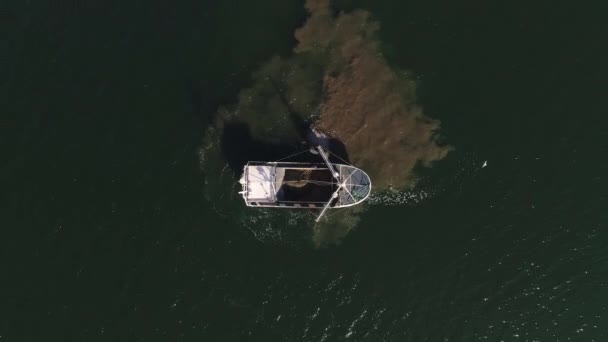 Vista superior del barco cangrejo en el agua con dos gaviotas circulando en el aire — Vídeo de stock