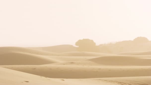 Panning shot di dune di sabbia e sagome di alberi da lontano — Video Stock