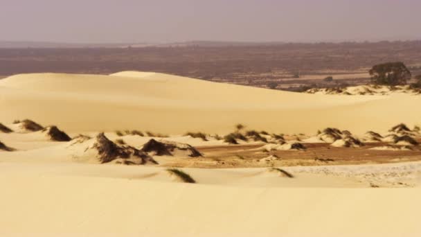 Panoráma felvétel a sivatagi táj és zöldségek — Stock videók