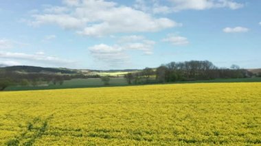 Kanola Tarlaları Çiftliği ve Toprakları Bulutlu Gökler Altındaki Çimenli Arazilere Uzanıyor