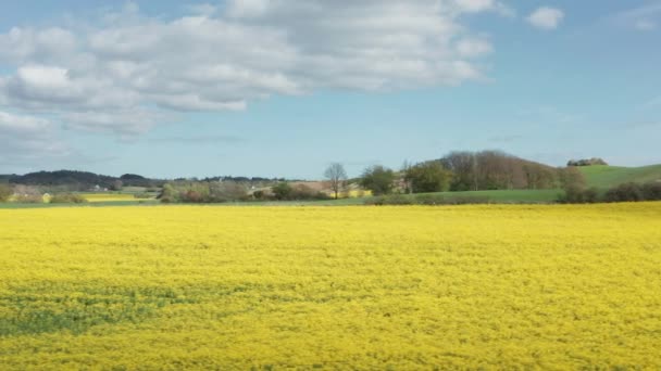 Vue aérienne panoramique des terres agricoles de canola et des chaînes de montagnes de loin — Video