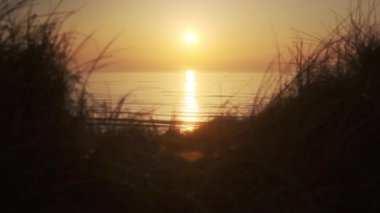 Danimarka 'nın Güzel Kıyılarından Görülen Uçsuz bucaksız ve Güzel Okyanusun Klibi