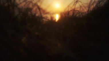 Günbatımında Danimarka 'da Nefes Kesen Deniz Manzarası Görüntüsü