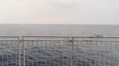 Deniz ve Ufuk ile Feribot Korkuluğu