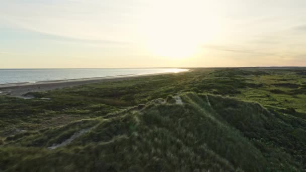 Bujne zielone pola przy plaży i wybrzeżu Slettestrand Podczas wschodu słońca o 5 rano Dania — Wideo stockowe